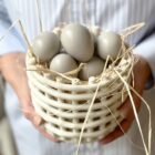 Ceramic basket, Small