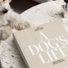 Fotoalbum, A Dogs Life