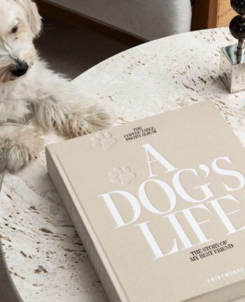 Fotoalbum, A Dogs Life