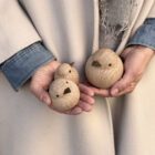 BABY SPARROW NATURAL, OAK BABY SPARROW NATURAL, OAK