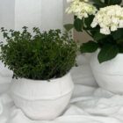 Nordic clay Planztopf, h-16