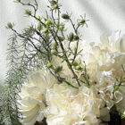 Bouquet Nordic Grace
