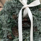 Vintergrøn Kranz, 25cm Vintergrøn Kranz, 25cm