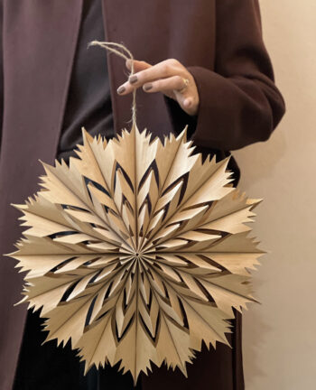 Willkommen Venja Weihnachtsstern natural, medium