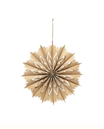 Willkommen Venja Weihnachtsstern natural, small