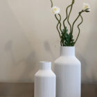 Silent Poppy White Silent Poppy White