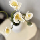 Silent Poppy White Silent Poppy White