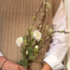 Bouquet Alva Petit Bouquet Alva Petit