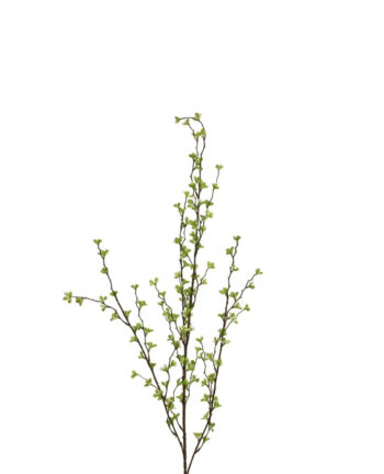 Blätterast, grün-weiss