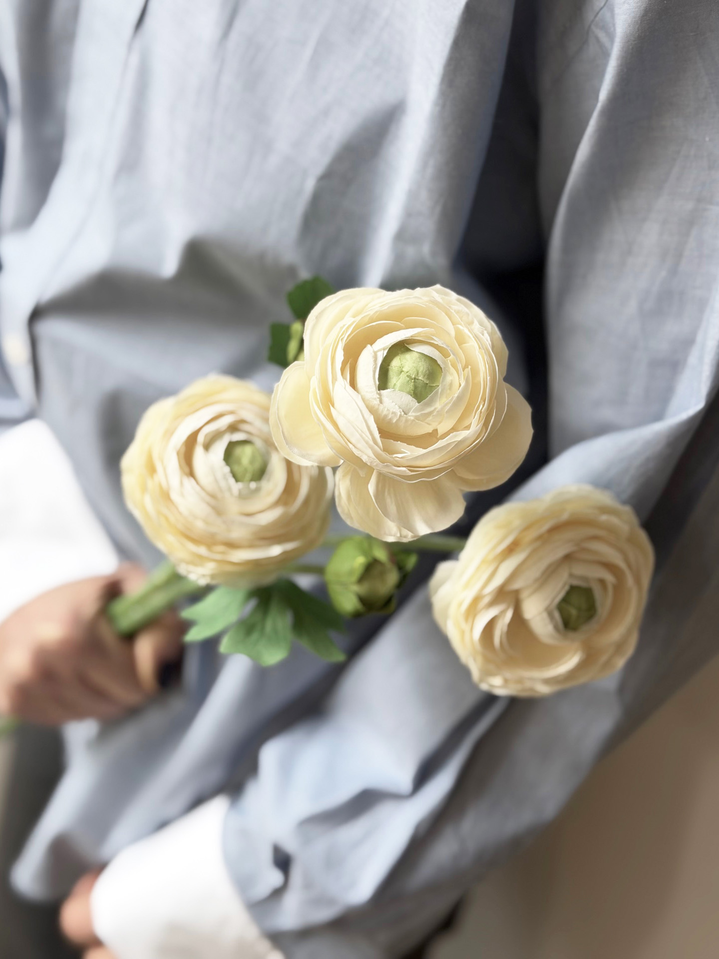 Willkommen Willkommen