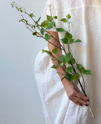 Willkommen Birkenzweig