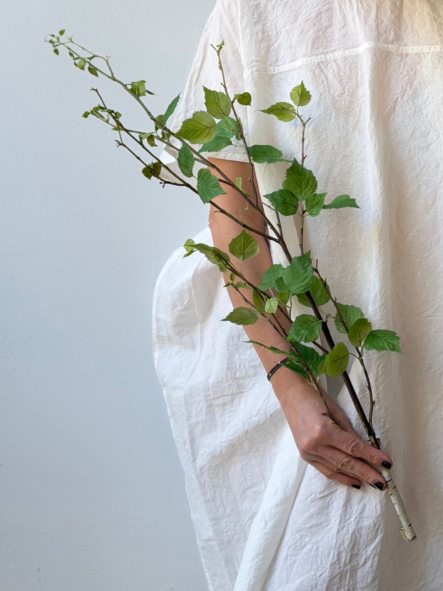 blomsonder_weidenast_2 Birkenzweig