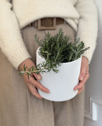 Willkommen Lyft Pot, White