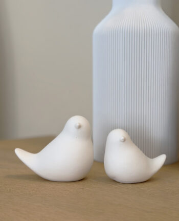 Willkommen Nordic Birds Duo